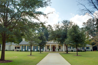 Live Oak
