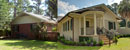 Live Oak