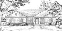 Belvedre stock plan